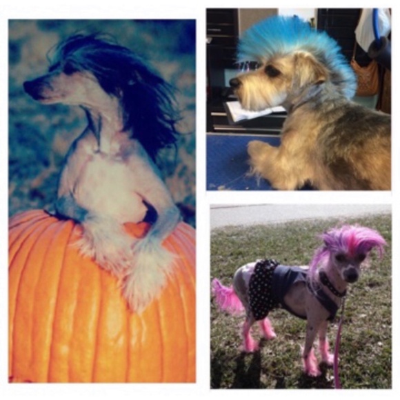 ❌ 11/19 WICKED WEDNESDAY VINTAGE FASHION SHARE GROUP - Picture 8 of 16